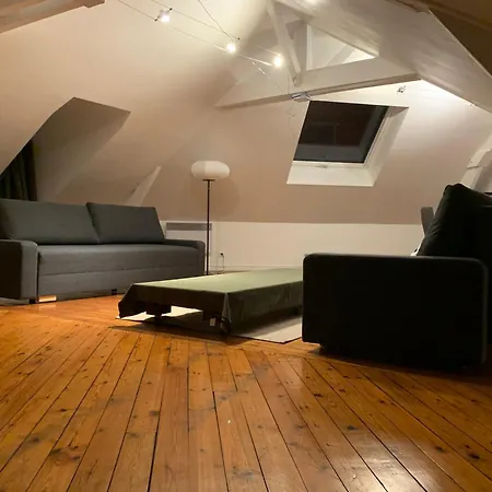 Apartment Loft Au Calme, Ideal Pour Famille, Proche De Reims